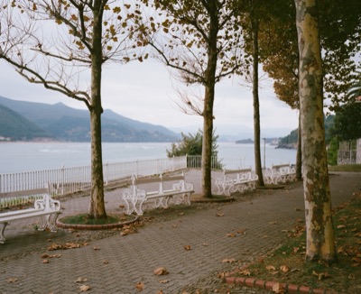 Cast-iron benches lining a sycamore-shaded promenade above a misty autumn bay